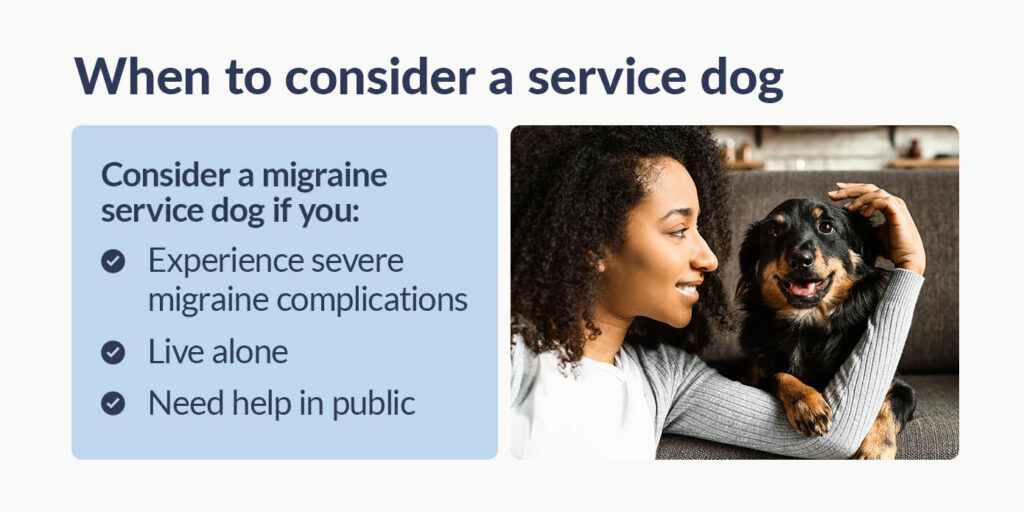 Migraine Service Dogs: Your Questions Answered Migraine Service Dogs: Your Questions Answered