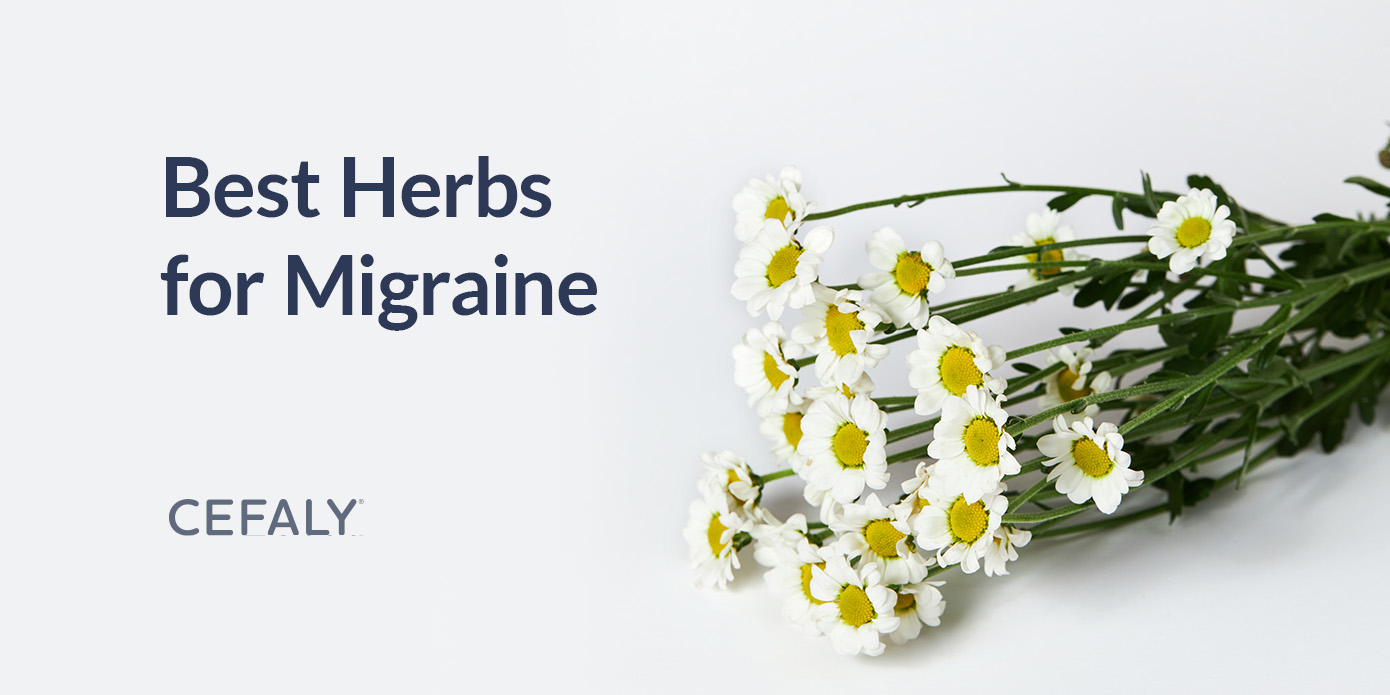 Best Herbs for Migraine Best Herbs for Migraine